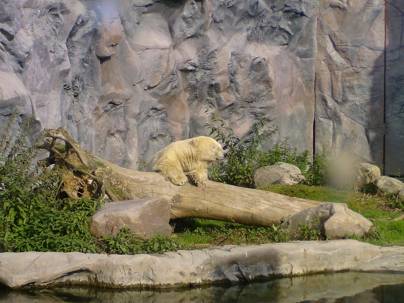 Zoom 18.10.08-066.jpg